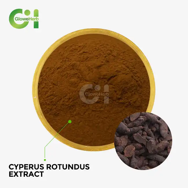 Cyperus rotundus extract Cyperus rotundus extract